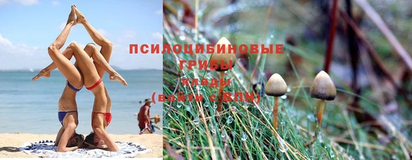 прущая мука Аркадак