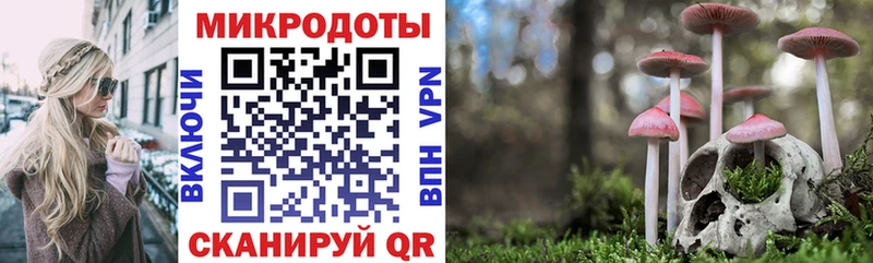кракен ссылки Коломна Галлюциногенные грибы мицелий дарнет шоп