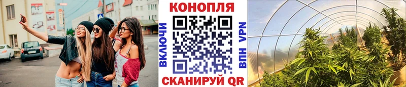 Канабис SATIVA & INDICA  Коломна 